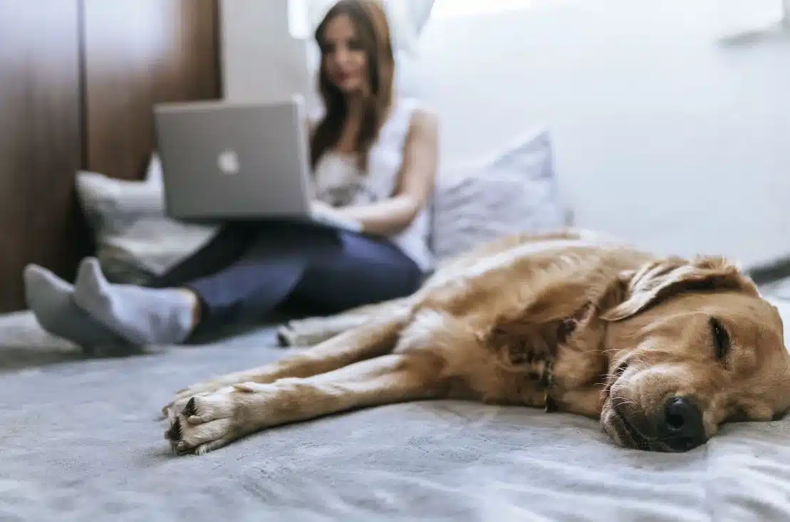 future smart bed